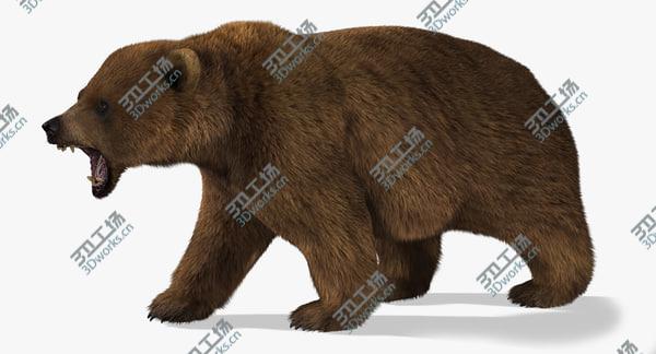 images/goods_img/20210312/Bear (2) (LightBrown) (Rig) (Fur)/2.jpg